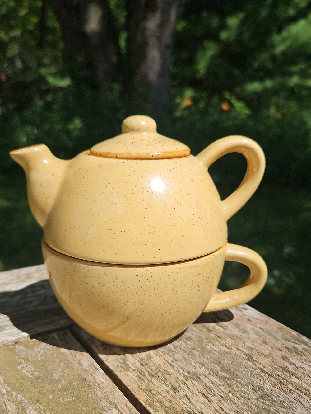 Pier 1 Yellow Speckled Ceramic Tea-for-One Set